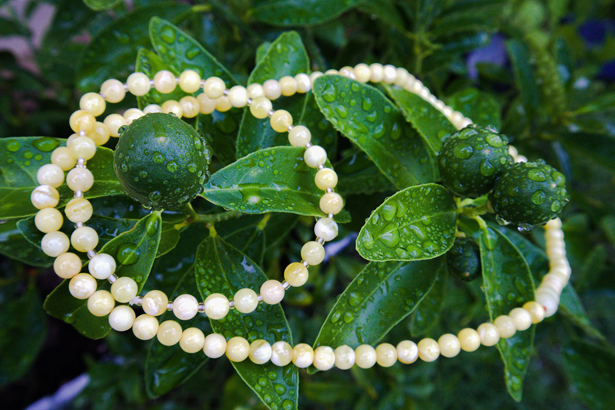 Baltic Amber Necklace and Bracelet Set