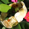 Royal Baltic Amber Bracelet