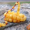 Baltic amber prayer beads from one stone